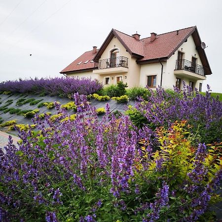 Mikołajki Apartamenty, Zielone Wzgorze Wiktora W Mikolajkach מראה חיצוני תמונה