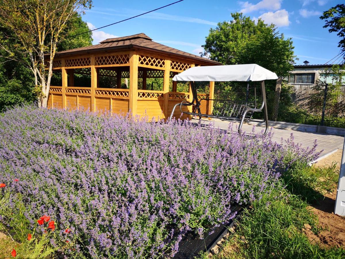 Mikołajki Apartamenty, Zielone Wzgorze Wiktora W Mikolajkach מראה חיצוני תמונה