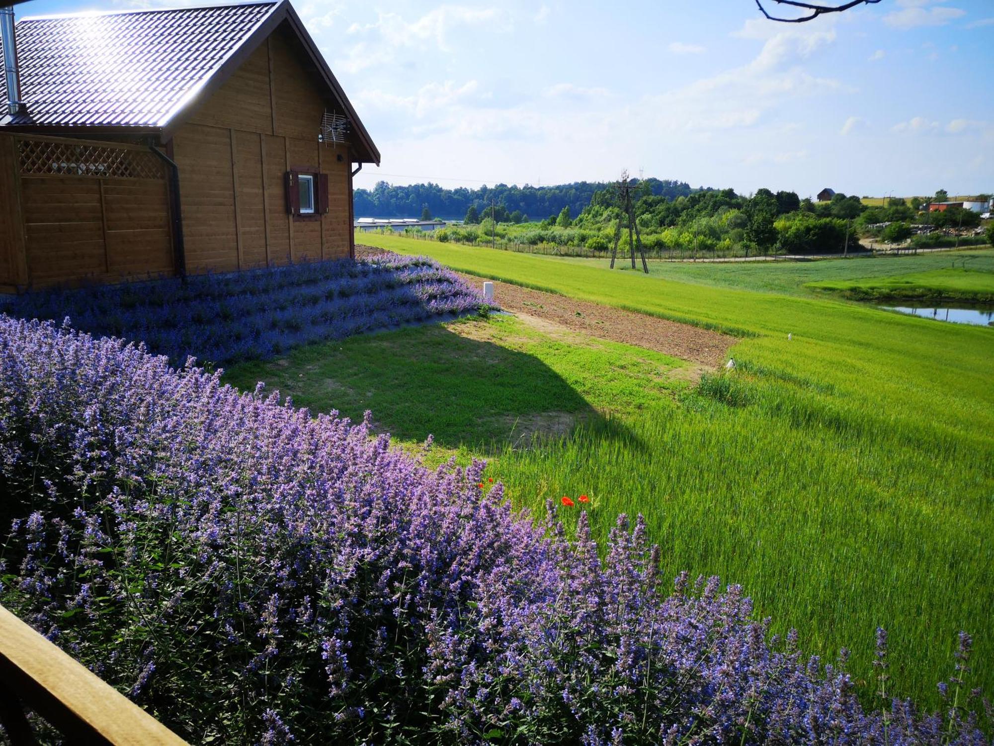 Mikołajki Apartamenty, Zielone Wzgorze Wiktora W Mikolajkach חדר תמונה